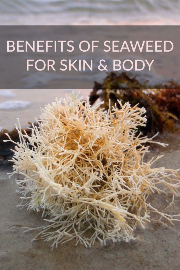 The health benefits of seaweed